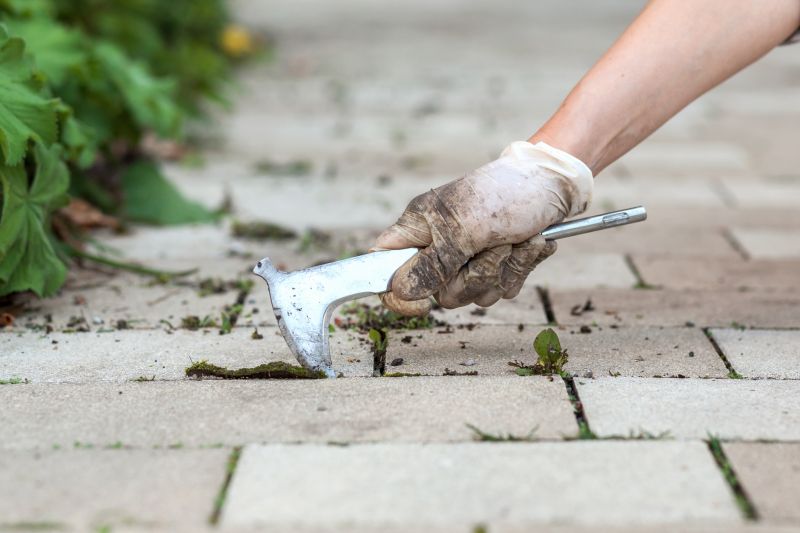Paver Patio Cleaning