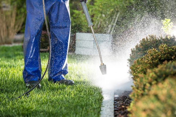 Curb Cleaning in Bloomington