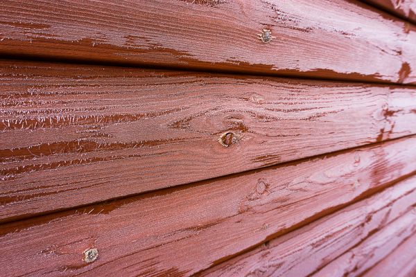 Cedar Siding Cleaning in Bloomington