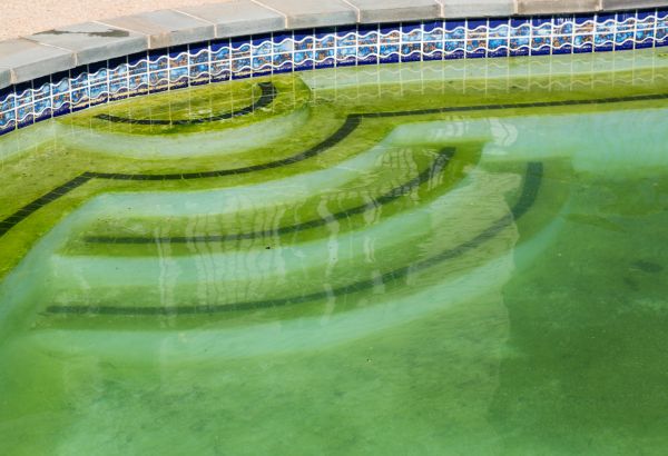 Pool Deck Algae Removal in Bloomington