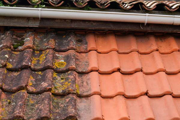 Industrial Roof Cleaning in Bloomington